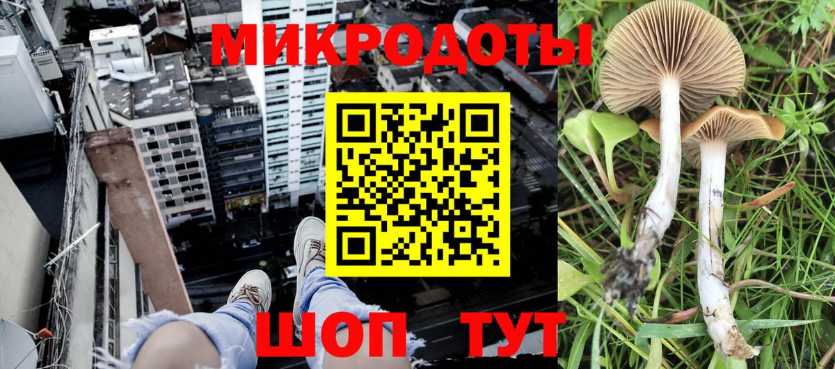 Галлюциногенные грибы MAGIC MUSHROOMS Пушкино
