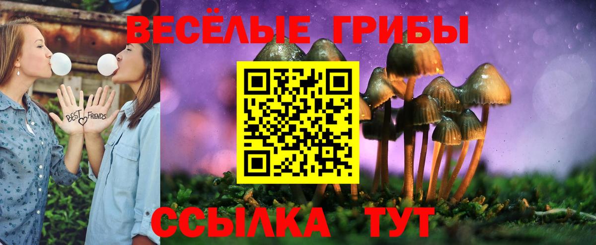 Пушкино  Псилоцибиновые грибы прущие грибы  даркнет сайт  Псилоцибиновые грибы мухоморы  Вход с VPN 